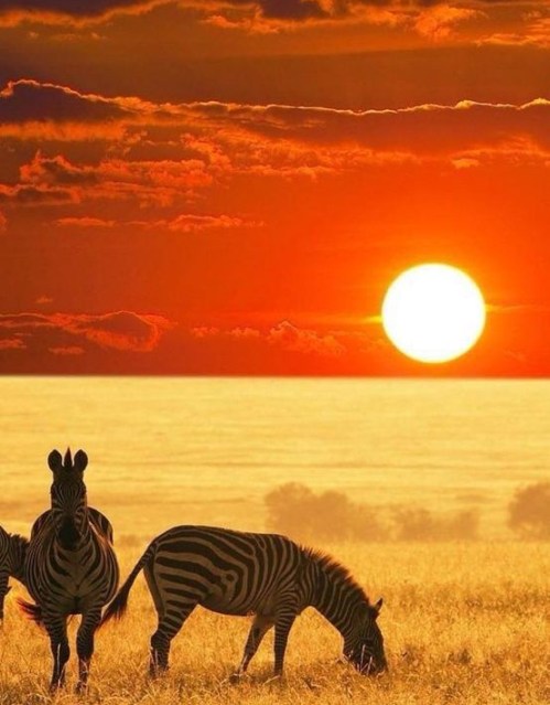 f1630d391bcc40f5bf2c95eced7db0b2