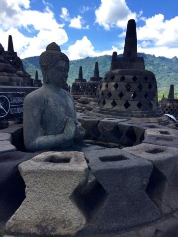 d102f71623d2351ef859bfd5d28c6bd0