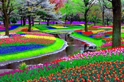 ПАРК КЕКЕНХОФ